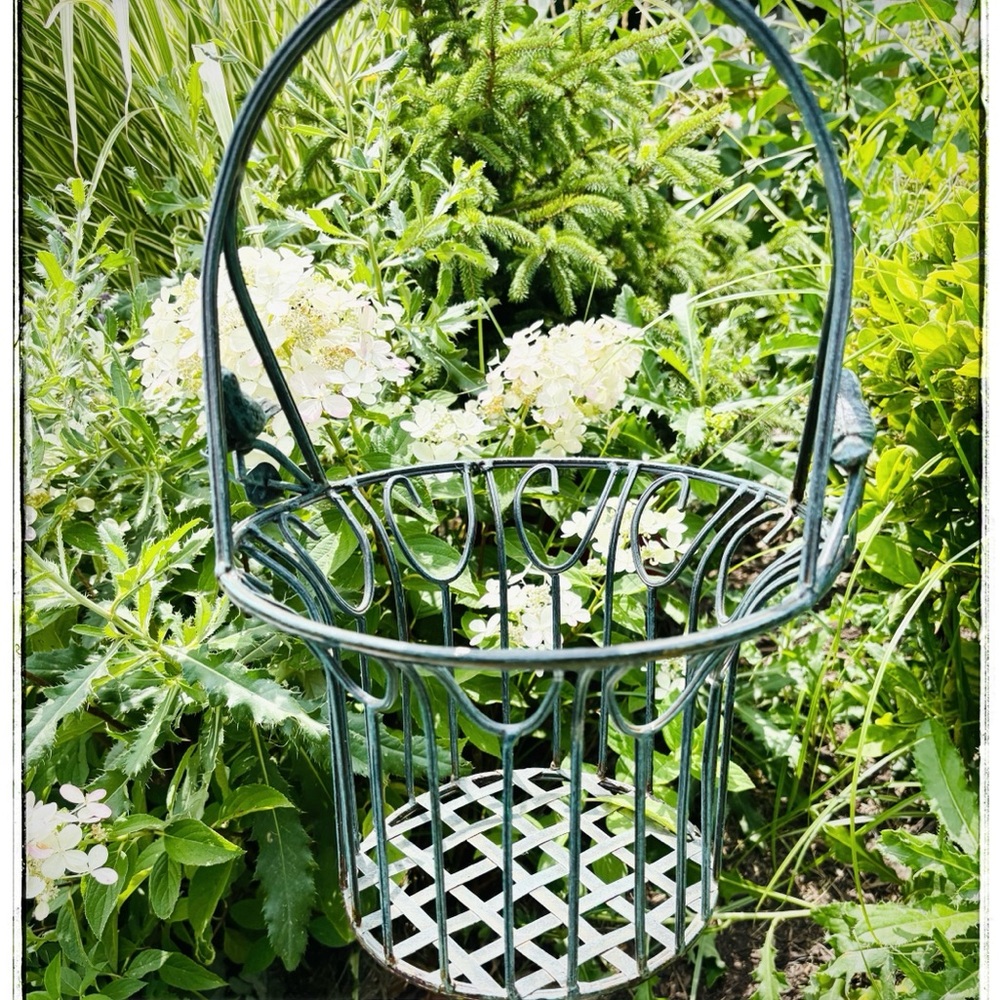 Vintage Iron Hanging Bird Basket/Planter Exterior
